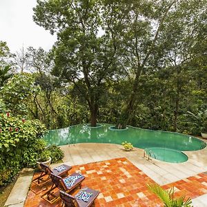 The Windflower Resort & Spa, Coorg